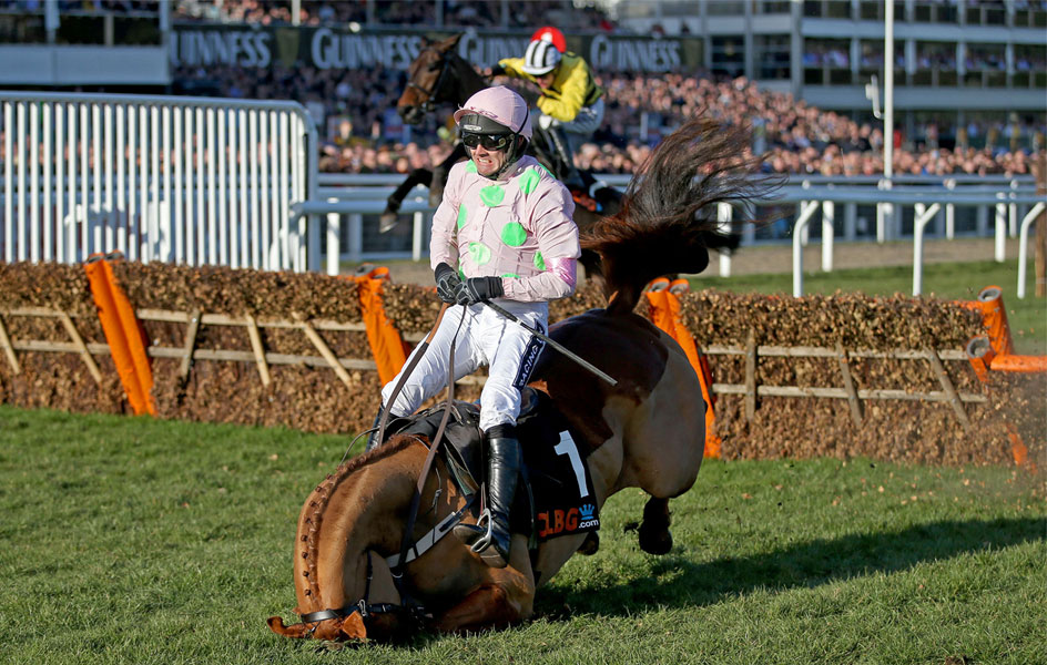 Annie-Power-falls at the last in Cheltenham