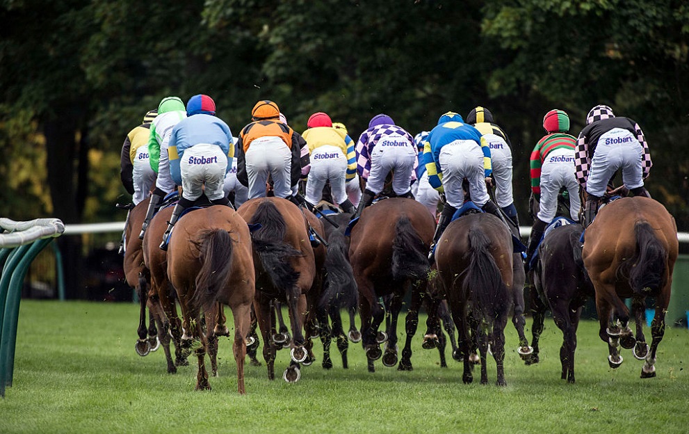 Ayr Races