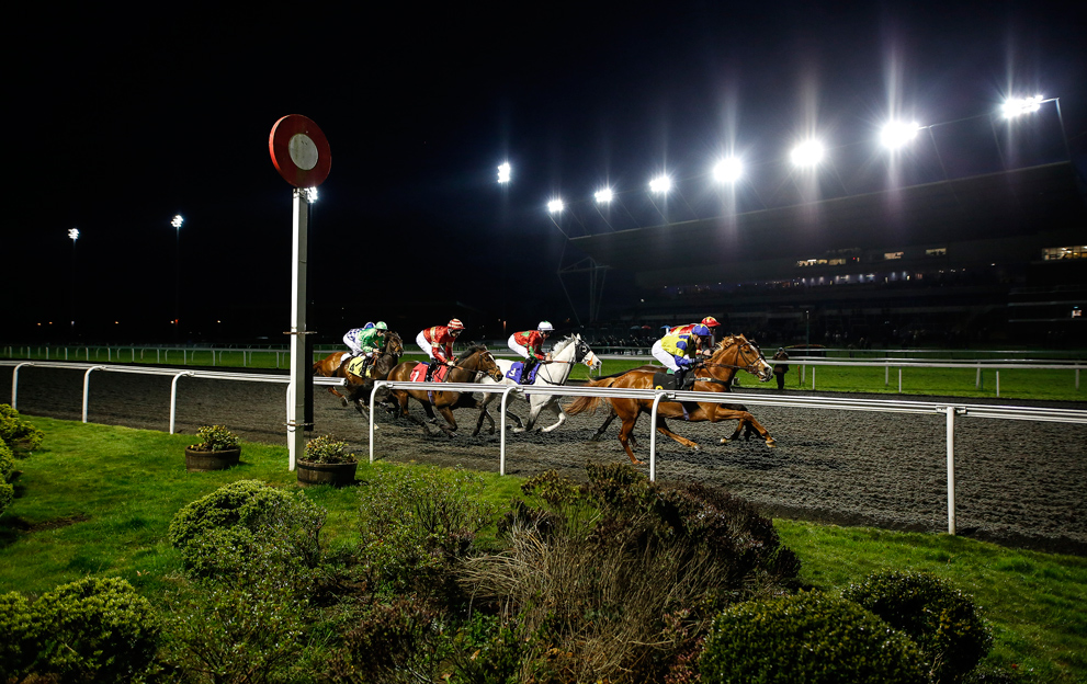 Kempton Races under lights