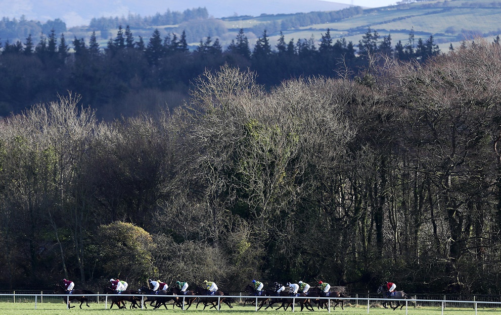 Naas racecourse