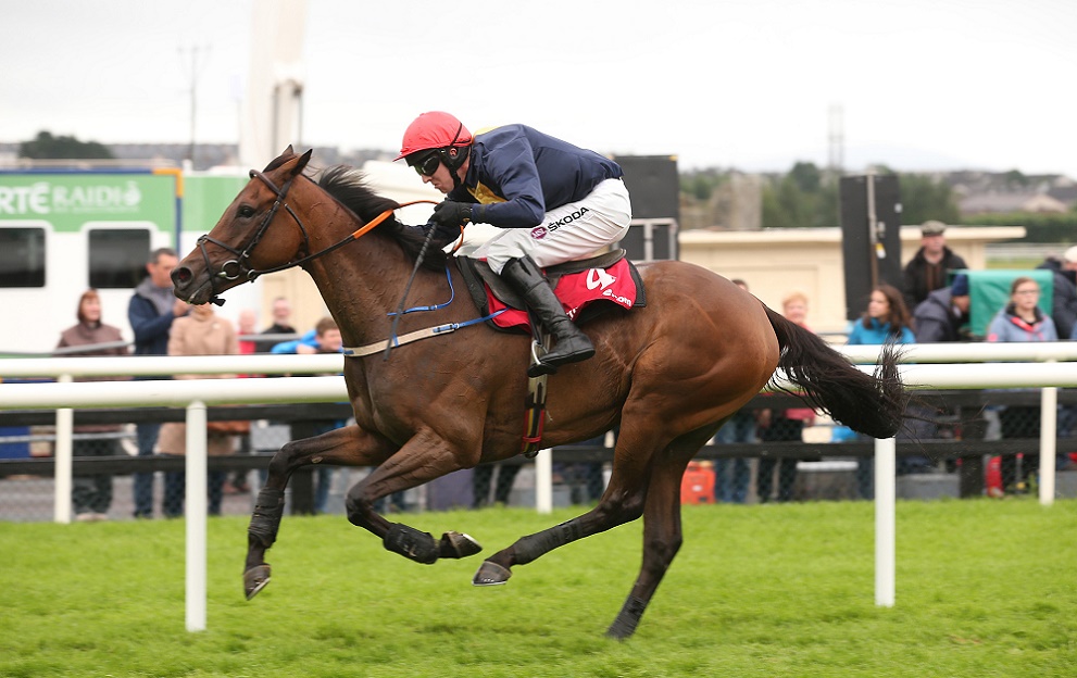 Paddy Power Stayers' Hurdle Runner By Runner Guide