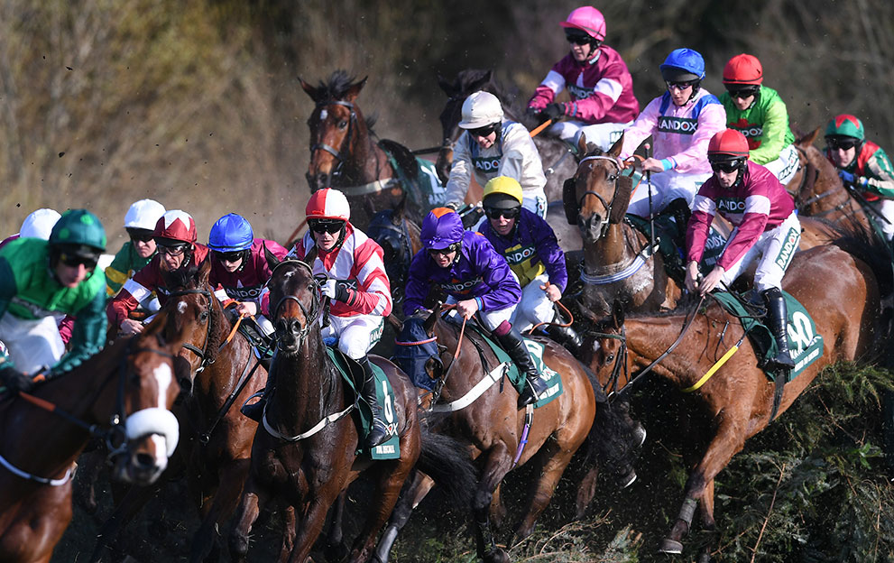 Aintree-Grand-National-field