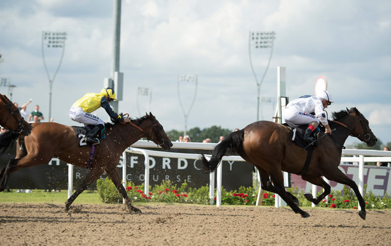 Chelmsford-Racecourse