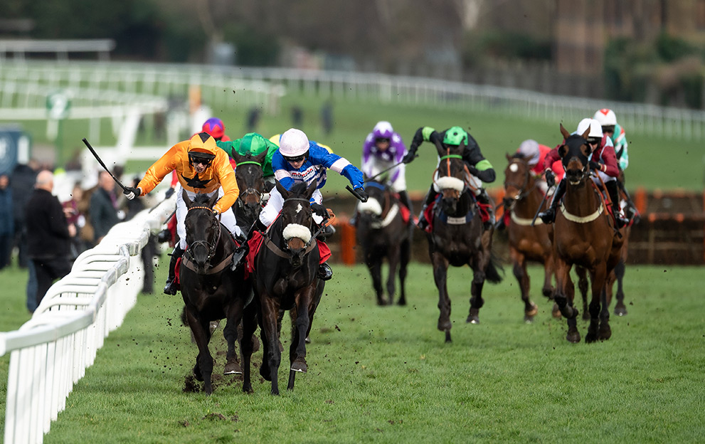 Monsieur-Lecoq-second-in-Imperial-Cup-Chester-Williams