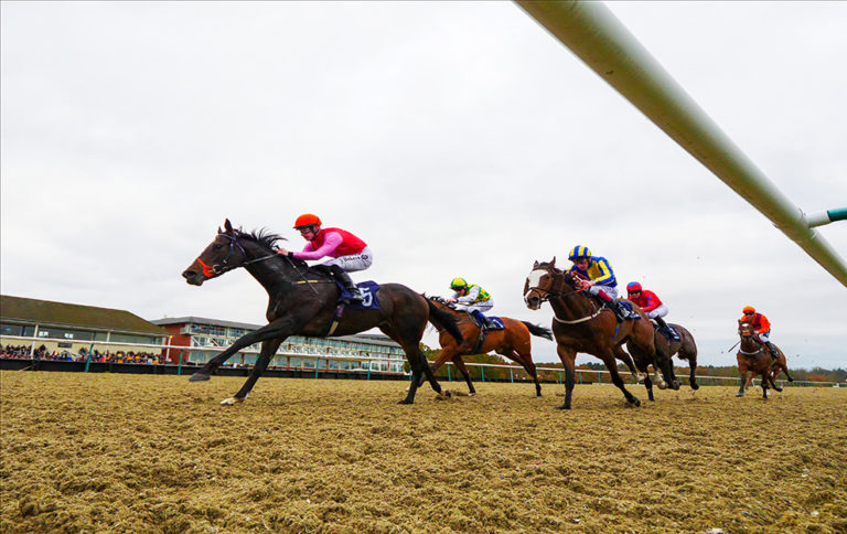 Lingfield races