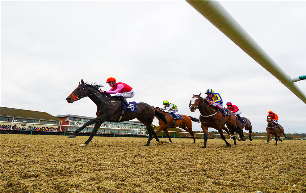 Lingfield races