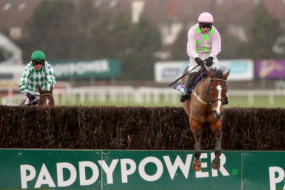 Faugheen wins at Dublin Racing Festival