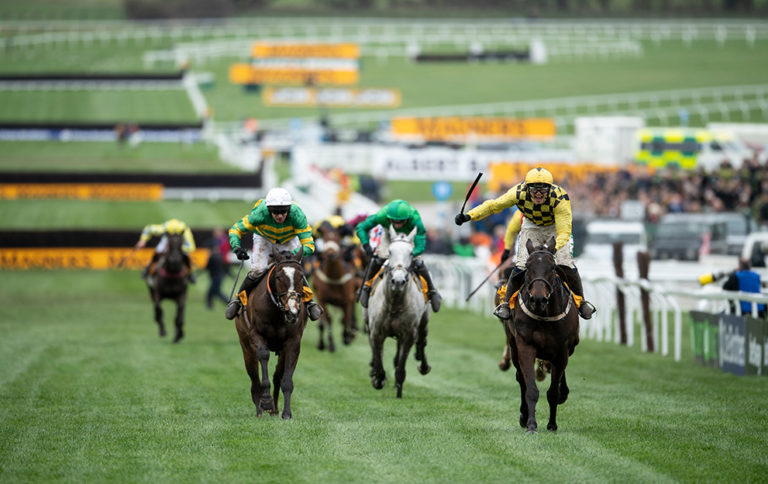 Al Boum Photo Cheltenham Gold Cup