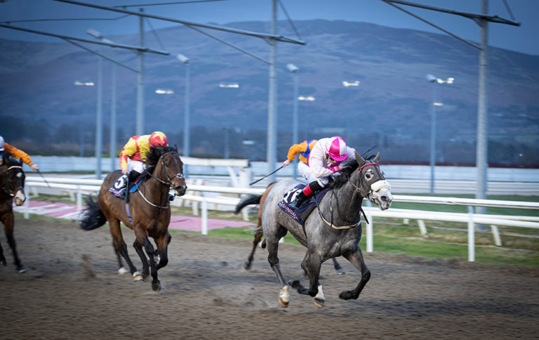 Dundalk-Races