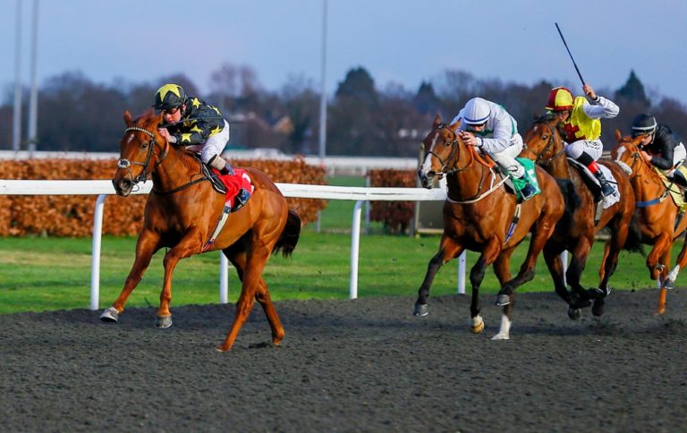 Kempton All Weather Evening