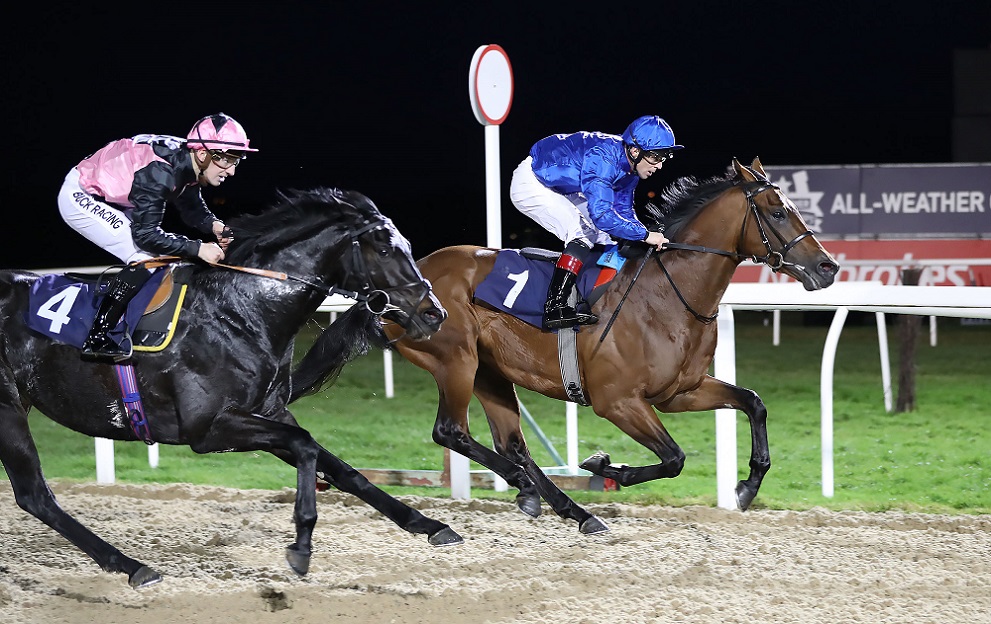 Throughbred Racing Image Horse Racing Tips: Tonight’s nifty Newcastle punts – Paddy Power News
