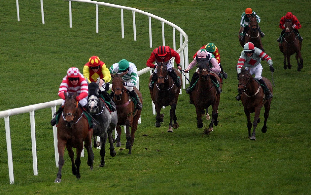 Downpatrick horse racing Archive | Paddy Power News