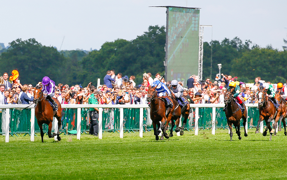 Japan-wins-at-York