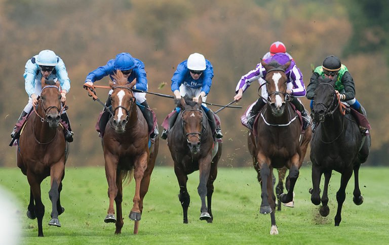 French-Racing---generic