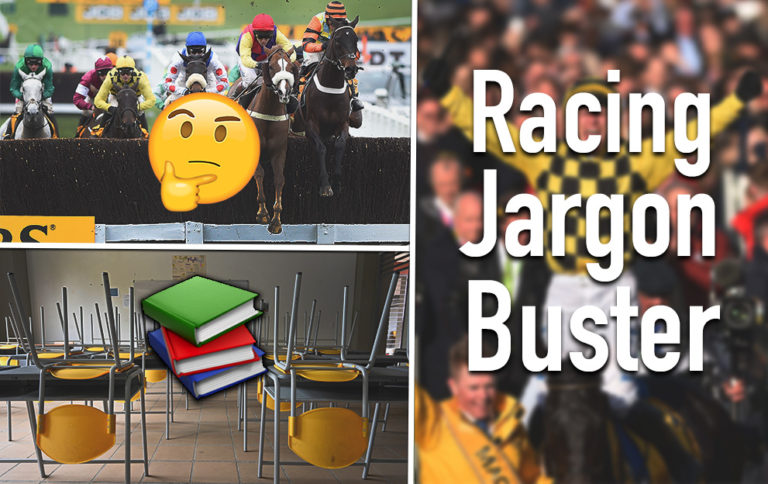 Horse Racing Jargon Buster