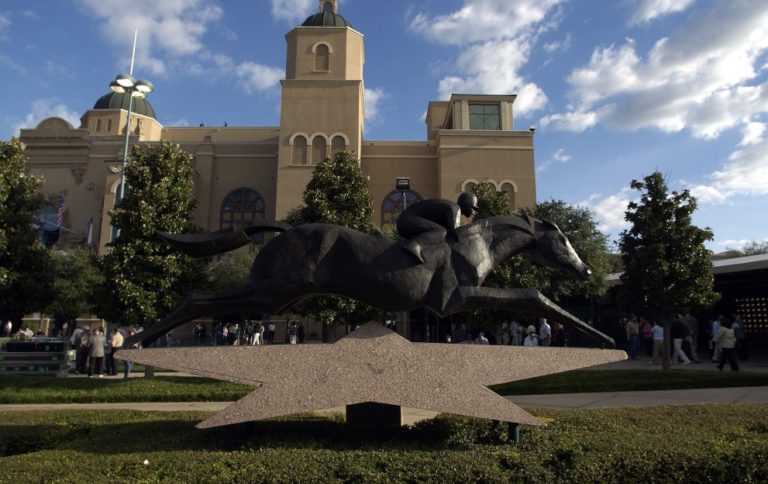 LoneStarParkgenericMay20