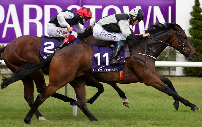 Leopardstown Flat Racing