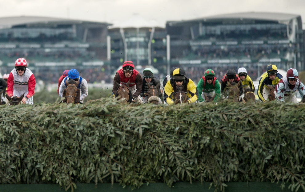 Hurdles and fences explained in Paddy Power horse racing betting guide