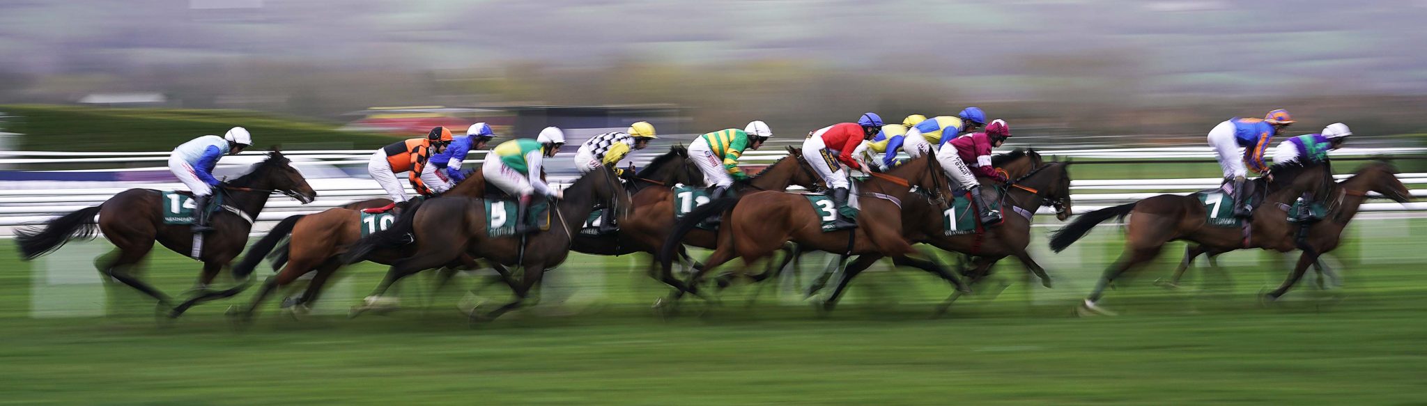 What is a bumper horse race? Paddy tackles horse racing jargon