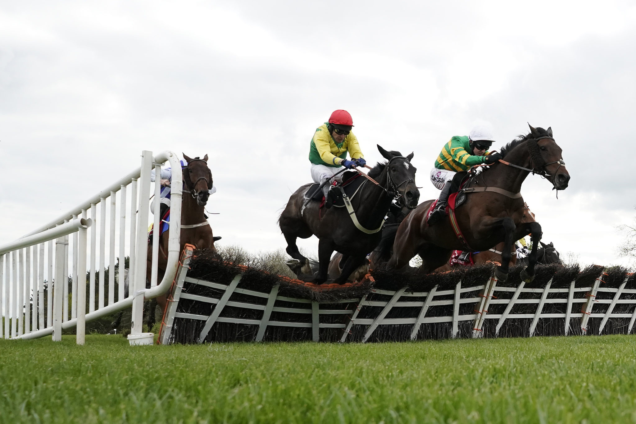 Paddy Power hurdle and fences betting guide