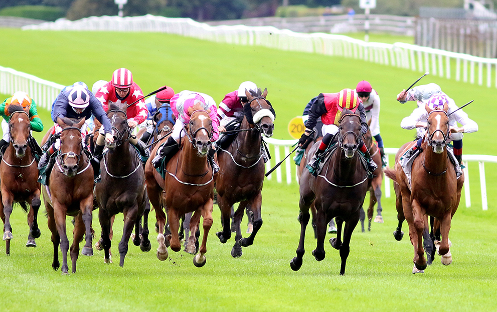 Laughifyouwant-wins-the-Paddy-Power-Irish-Cambridgeshire-at-the-Curragh