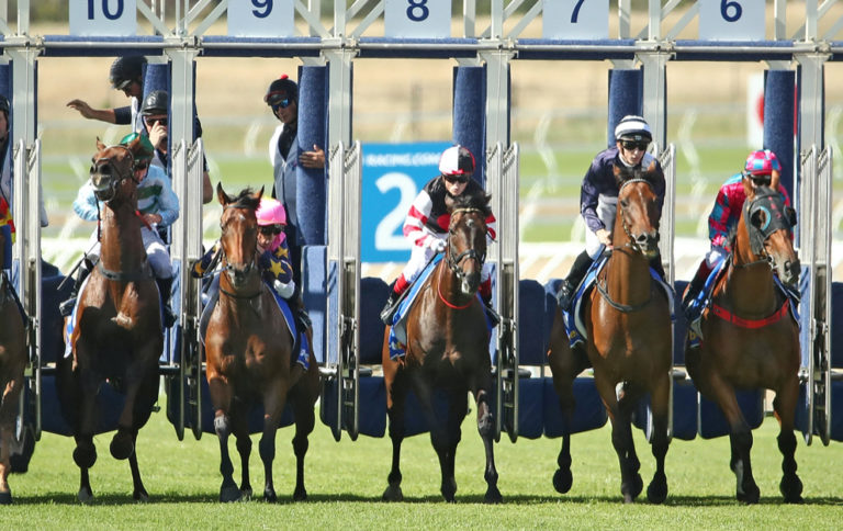 horse racing stalls betting guide Melbourne Cup