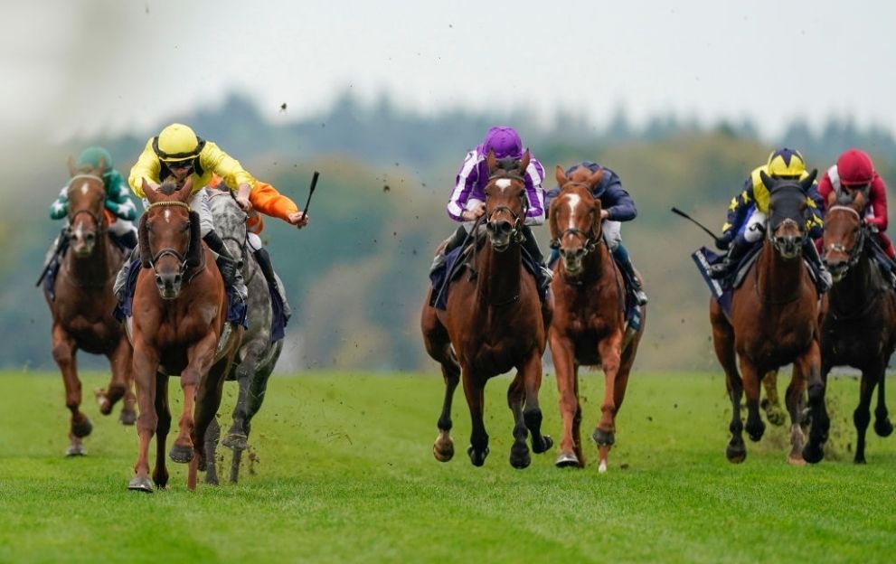 British Champion Stakes Ascot Addeybb October 17, 2020