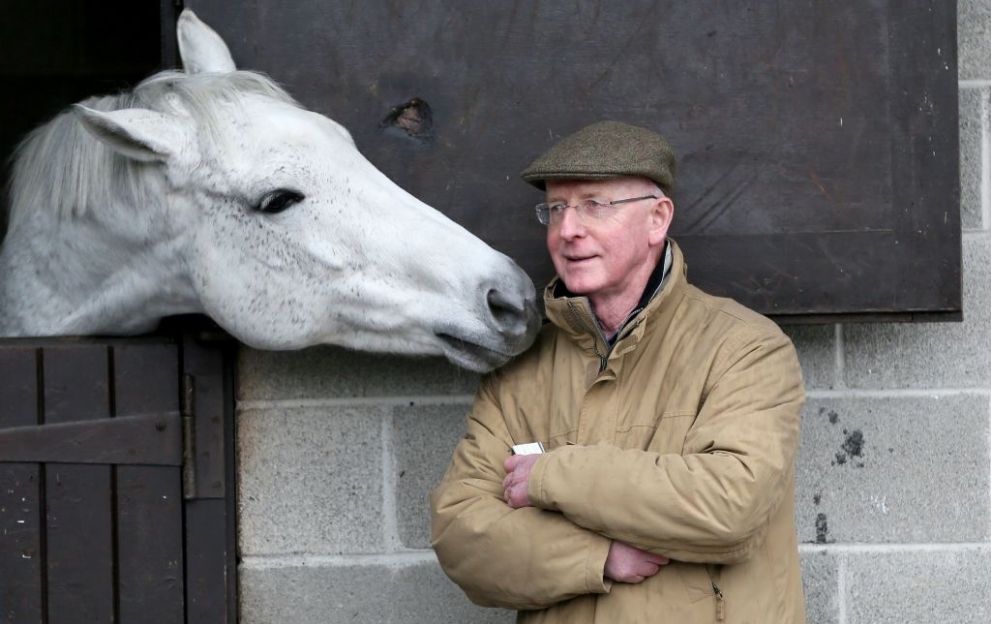 John Oxx November horse breeding stock sale at Goffs 2017