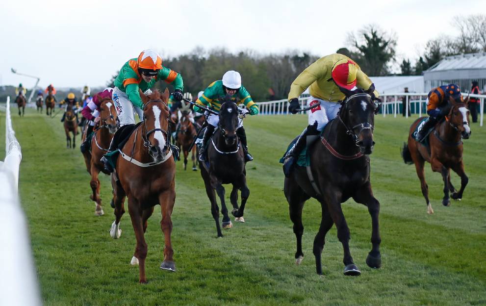 National Hunt race fences bumper