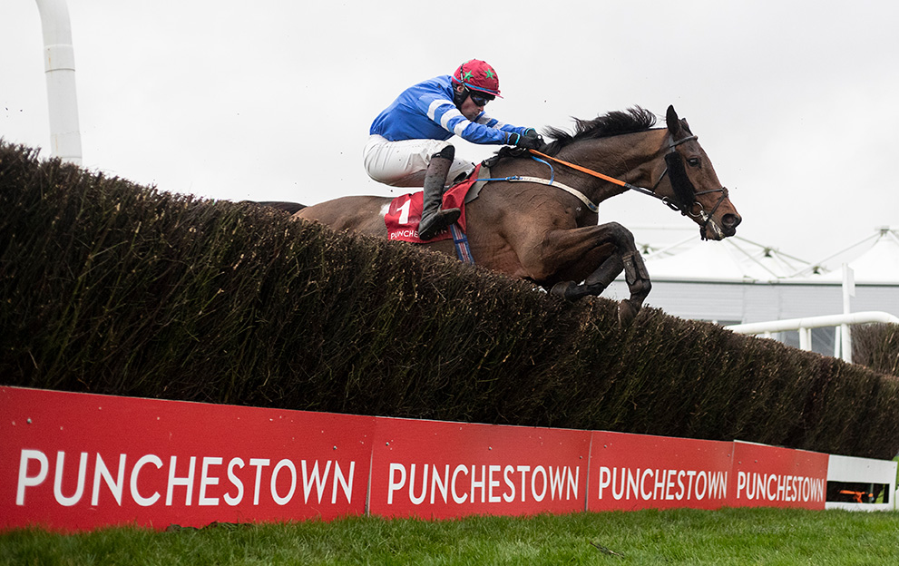 Punchestown-Racecourse