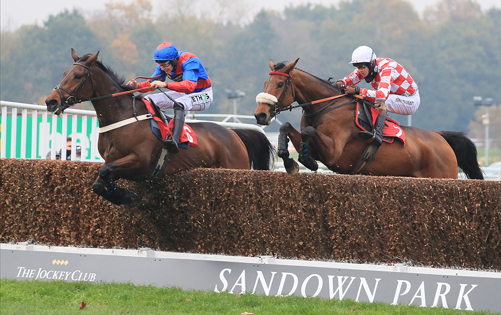 Sandown-Park-Jumps-Racing