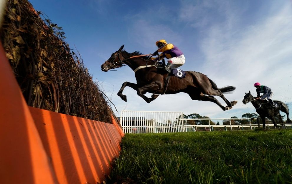 Lucky 15 Tips Today: Sunday’s best bets across the tracks using our NAPs table