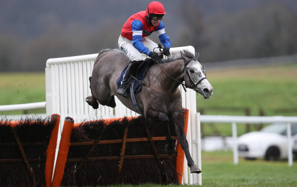 Horse racing fences and hurdles height