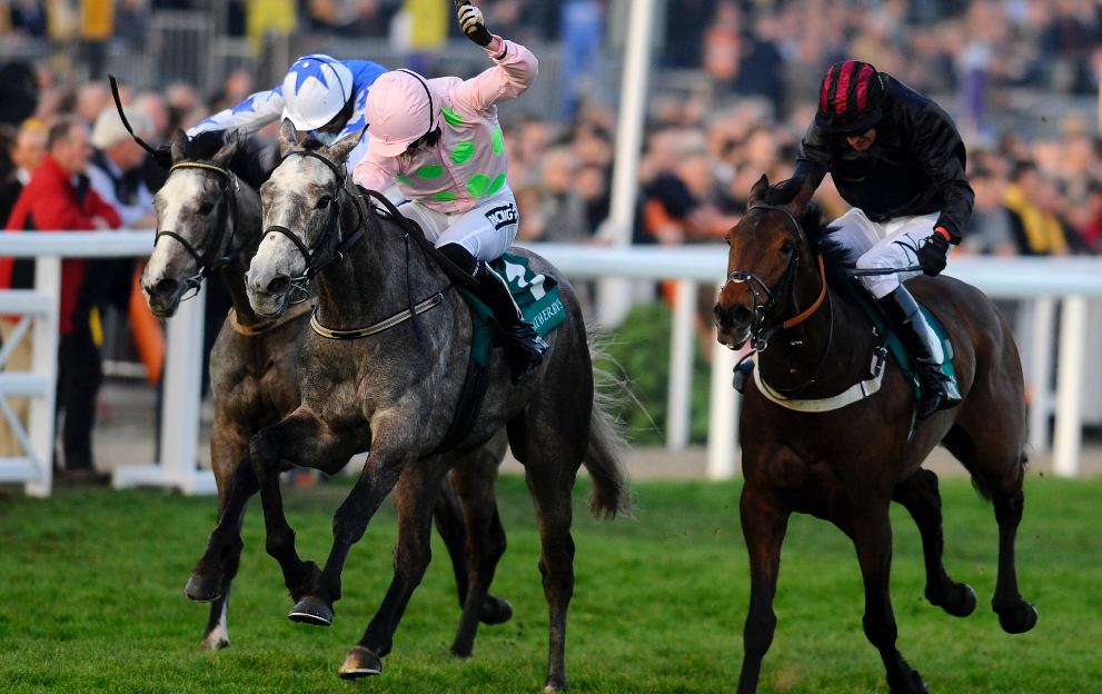 Cheltenham Festival Champion Bumper