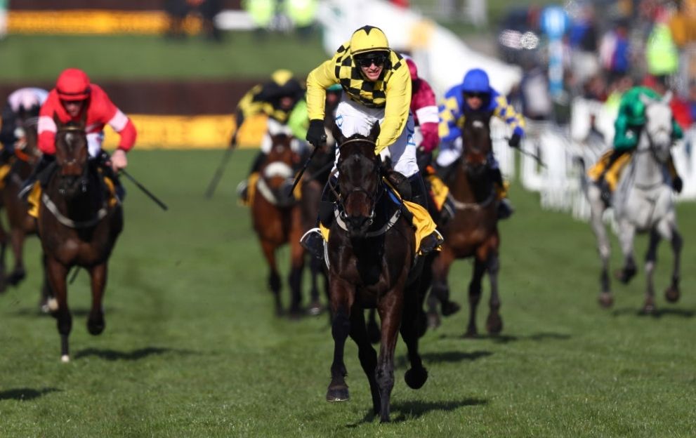 Al Boum Photo Paul Townend Gold Cup Cheltenham Festival March 13, 2020