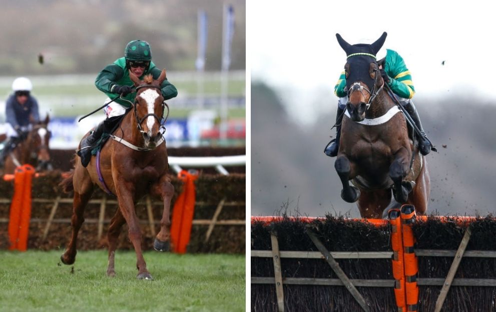 Concertista Dame De Compagnie Mares' Hurdle