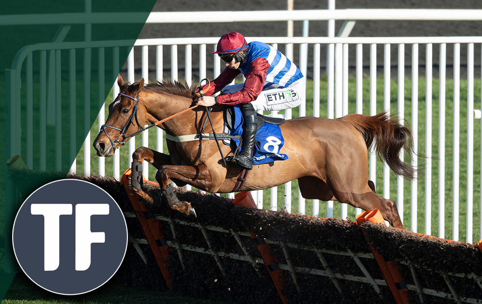 Timeform jumps