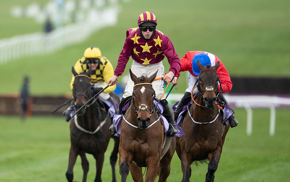 Minella Indo-wins-the-Cheltenham-Gold-Cup