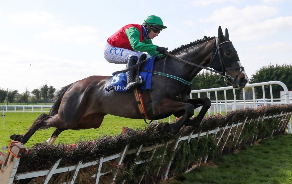 Echoes In Rain Paul Townend Fairyhouse April 4, 2021