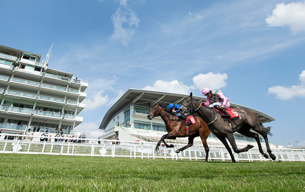 Epsom-Racecourse