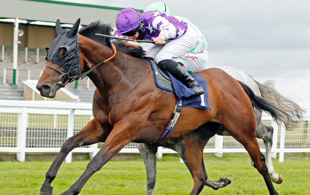 Betting on horse racing with Paddy Power