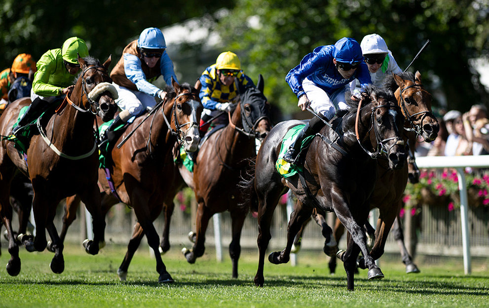 Horses race on the July Course at Newmarket