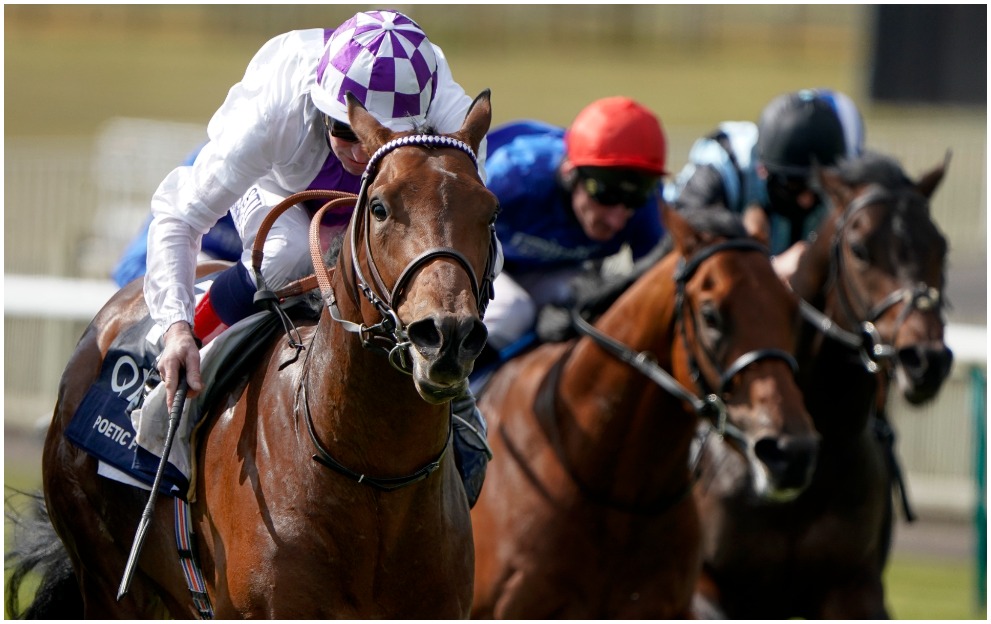 Sussex Races Sussex Stakes runners guide to Wednesday’s Goodwood race – Paddy Power News