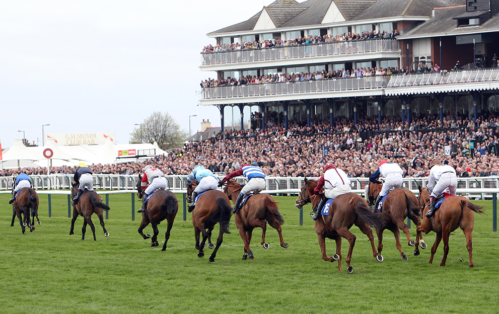 Lucky 15 Tips Today: Wednesday’s best bets using our NAPs table – Paddy ...