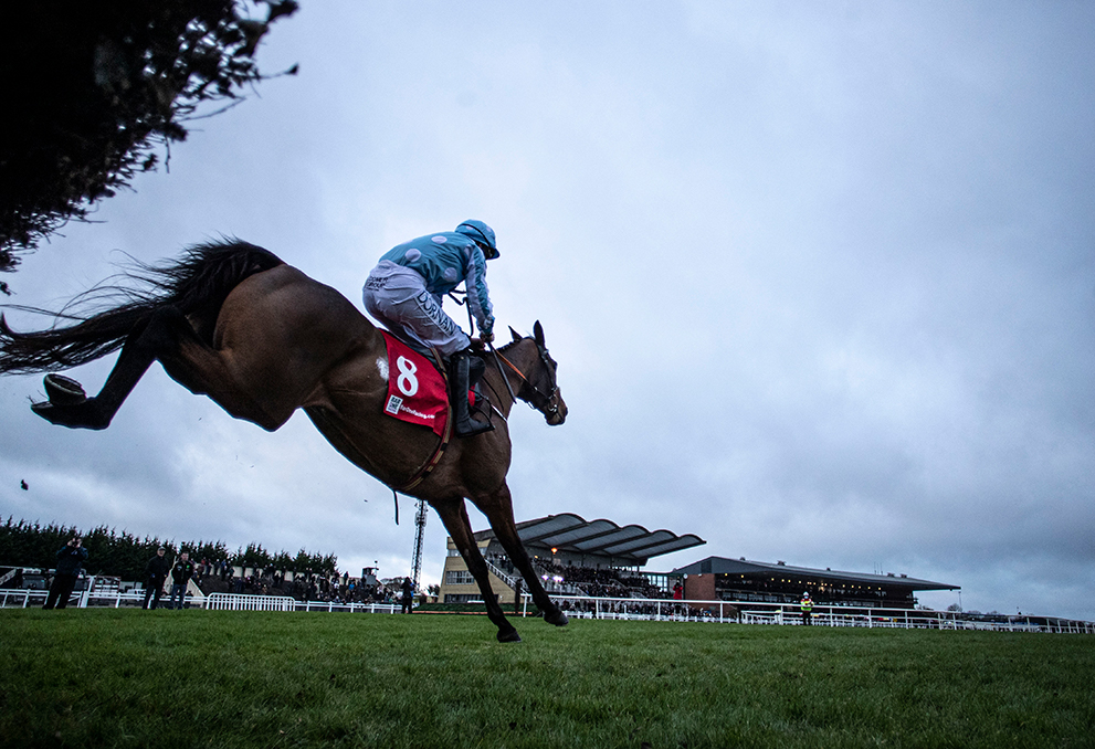 Honeysuckle wins at Fairyhouse Nov 2021