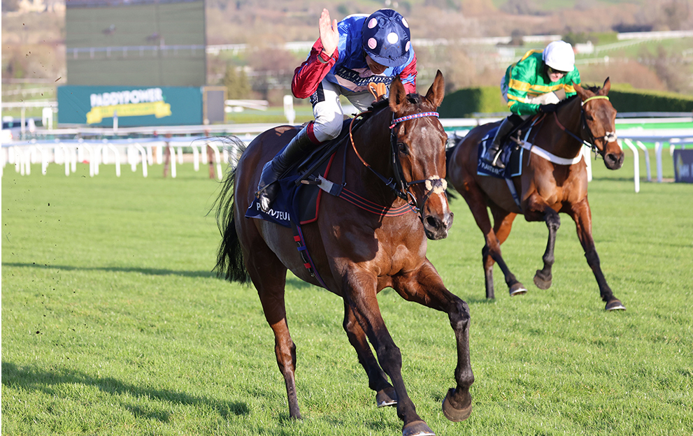 Paisley Park beats Champ at Cheltenham