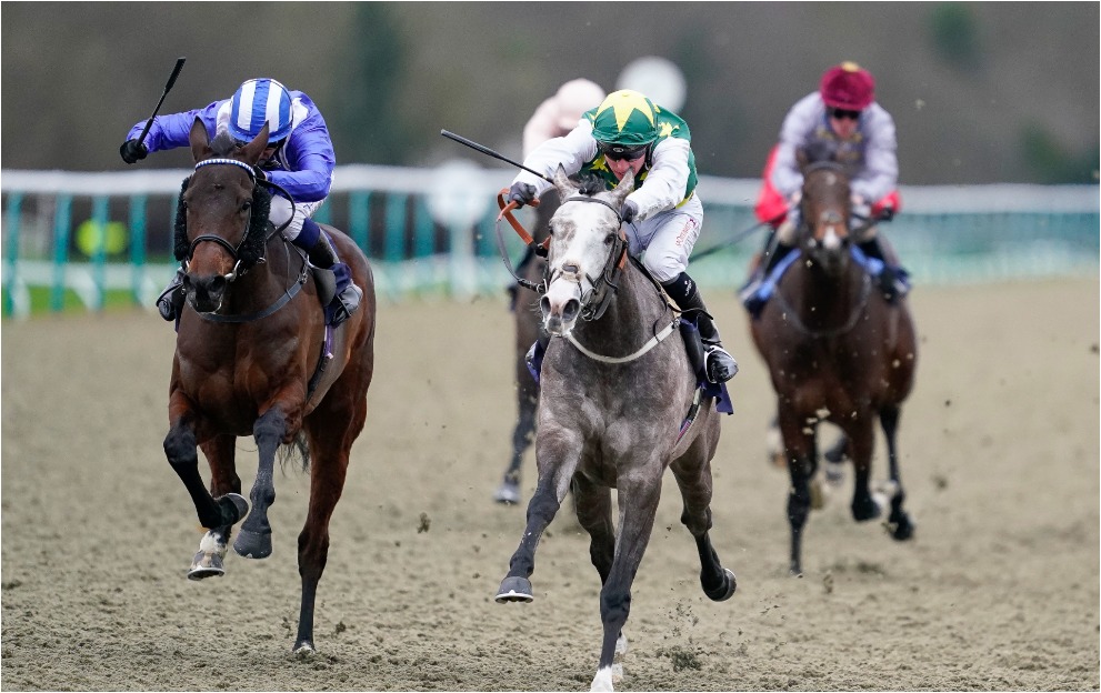 Horse Racing Tips: An 8/1 fancy leads the way at Lingfield today