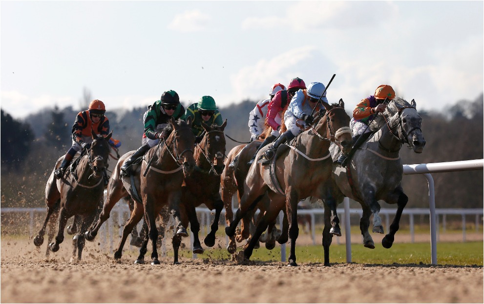 Horse Racing Tips: A 15/2 play leads the Monday Wolverhampton charge