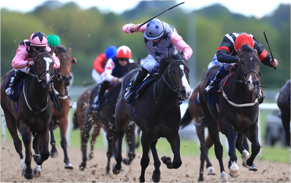 Exciting Race Picks to Boost Your Betting Strategy!