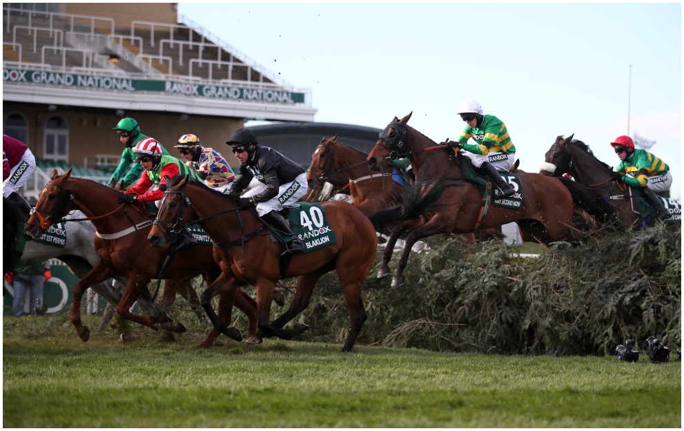 Grand National horses